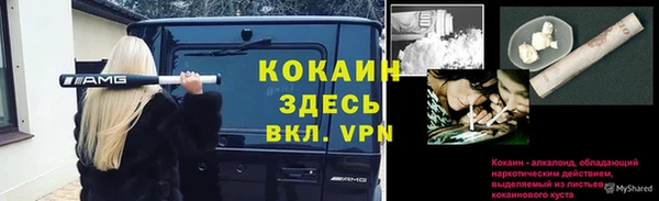 прущие крисы Инсар