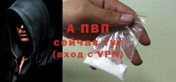 стаф Иннополис
