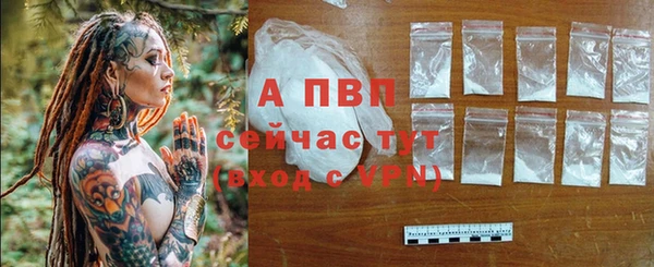 прущие крисы Инсар