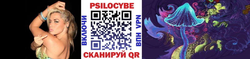 Купить  Венёв  Галлюциногенные грибы Cubensis 