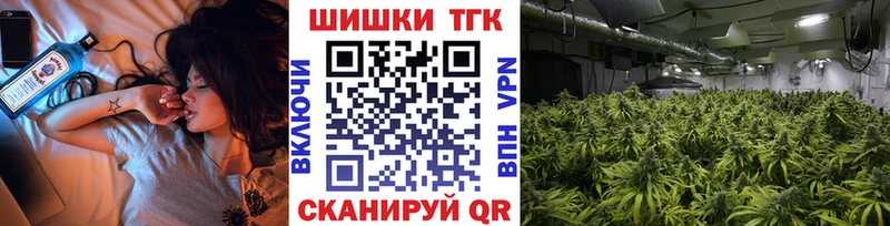 Купить где Венёв Бошки марихуана SATIVA & INDICA